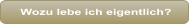 Wozu lebe ich eigentlich?